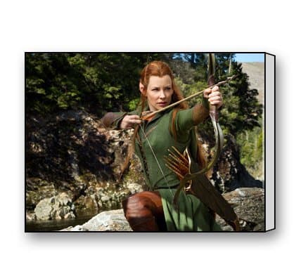 PrettyLee Custom Modern Wall Art Home Decor Canvas Prints Evangeline Lilly As Tauriel In Hobbit 16 X 12 Inch
