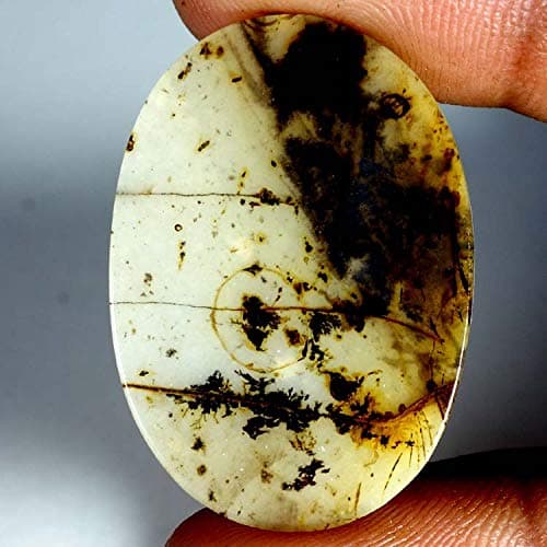 dendrite stone dendritic agate Gemstone Loose Gemstone Natural Gemstone Untreated Gemstone Stone for jewelry Dendrite 20.60CVts Natural Dendrite Quartz Oval Cabochon 22x32x02mm Gemstones SM08-19