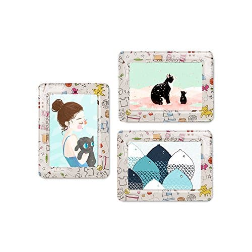 UCMD Magnetic Photo Frames 4 X 6 for Refrigerator,Wall, Cubicle, Photo Magnet Frames Fridge Magnets Set Pack of 5 (cat)