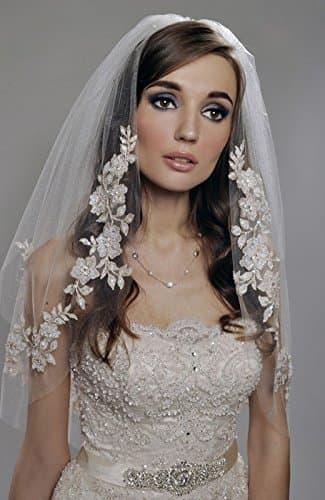 WWJ Wedding Veil Two-tier Bride Headpieves Accessaries short section/ a row of handmade flowers/ Lace Applique Edge Tulle , beige