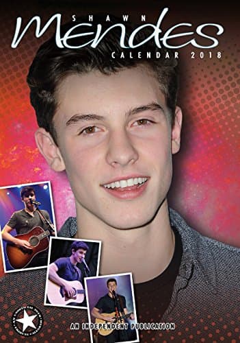 Shawn Mendes A3 2018 Poster Calendar