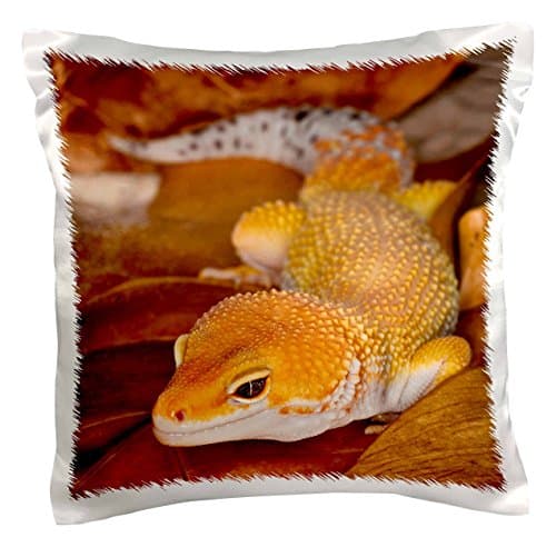 3dRosepc_73099_1 Leopard Gecko Morph, Lizard, Pakistan-AS28 AJE0000-Adam Jones-Pillow Case, 16 by 16"