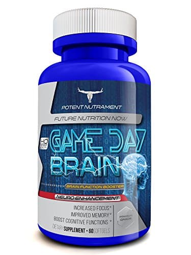 All-Natural Brain Function Booster Nootropics and Smart Drugs, Concentration Supplement For Increased Mental Focus and Mental Alertness, Memory Supplements For Adults, Ginko Balboa Brain Power