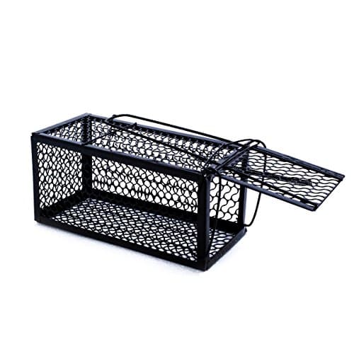 Humane Mouse Cage Trap Rodent Animal Live Catch No Kill (9.4" x4.3" x4.3")