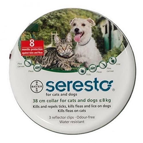 Seresto foresto 38CM Flea&Tick Bayer Collar Small Dogs UNDER 8kg(18LBS) odorless