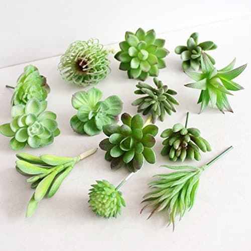 Dutch Brook 5Pcs Different Succulents Artificial Cactus Plants for Office Home Garden Decor (Sent Randomly) (1.Green)