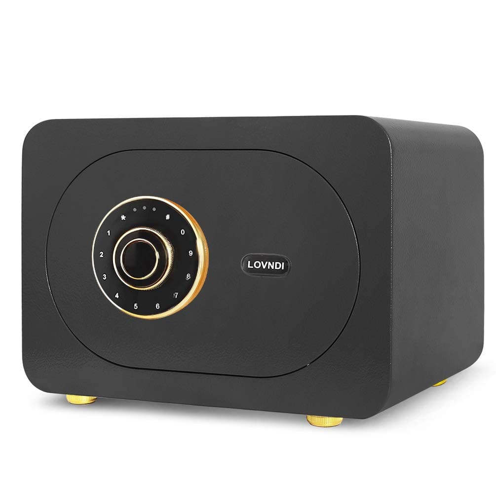 Lovndi Security Safe Box 1.0 Cubic Feet, Digital Safe Electronic Home Safe with Keypad, 15.7 x 11.8 x 10.6 inches, Black