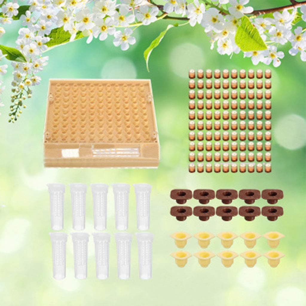 ICCQ Beekeeping Bee Tool Set Queen Rearing System Nicot Complete Catcher Cage Apiculture Helper Equipment Cup Cups Kit