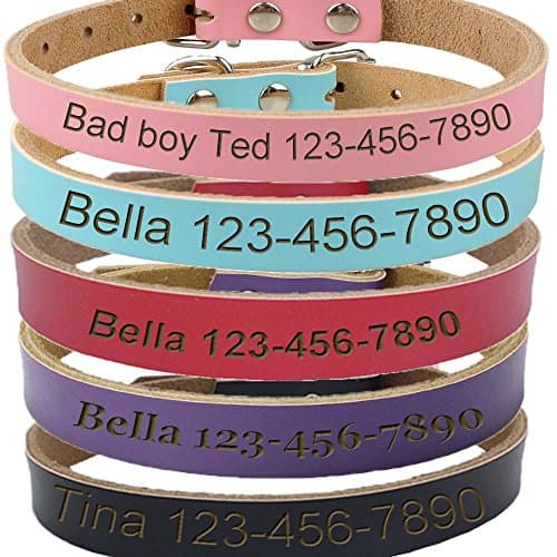 vspg Custom Deep Engraved Soft Leather Pet Cat Dog Collar Small Medium or Large Size