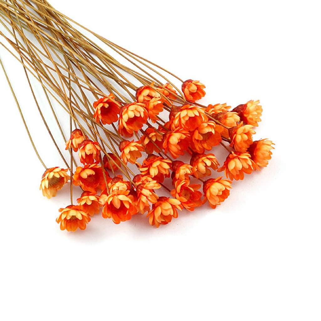 Senoow 12 pcs/pack Crystal Epoxy Mould UV Glue Mini Daisy Dried Flower Bracelet Ring Filler Nail Art Manual DIY Making Mobile Shell Crafts Embossing Material Accessories