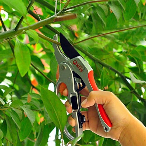 30mm Gardening Sectional Pruning Shears Scissors Branch Cut Trimmer