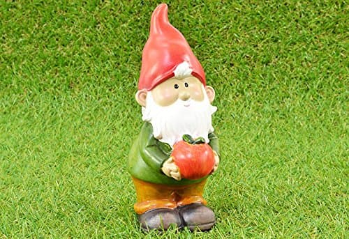 Vanilla Goose Garden Gnome with Apple