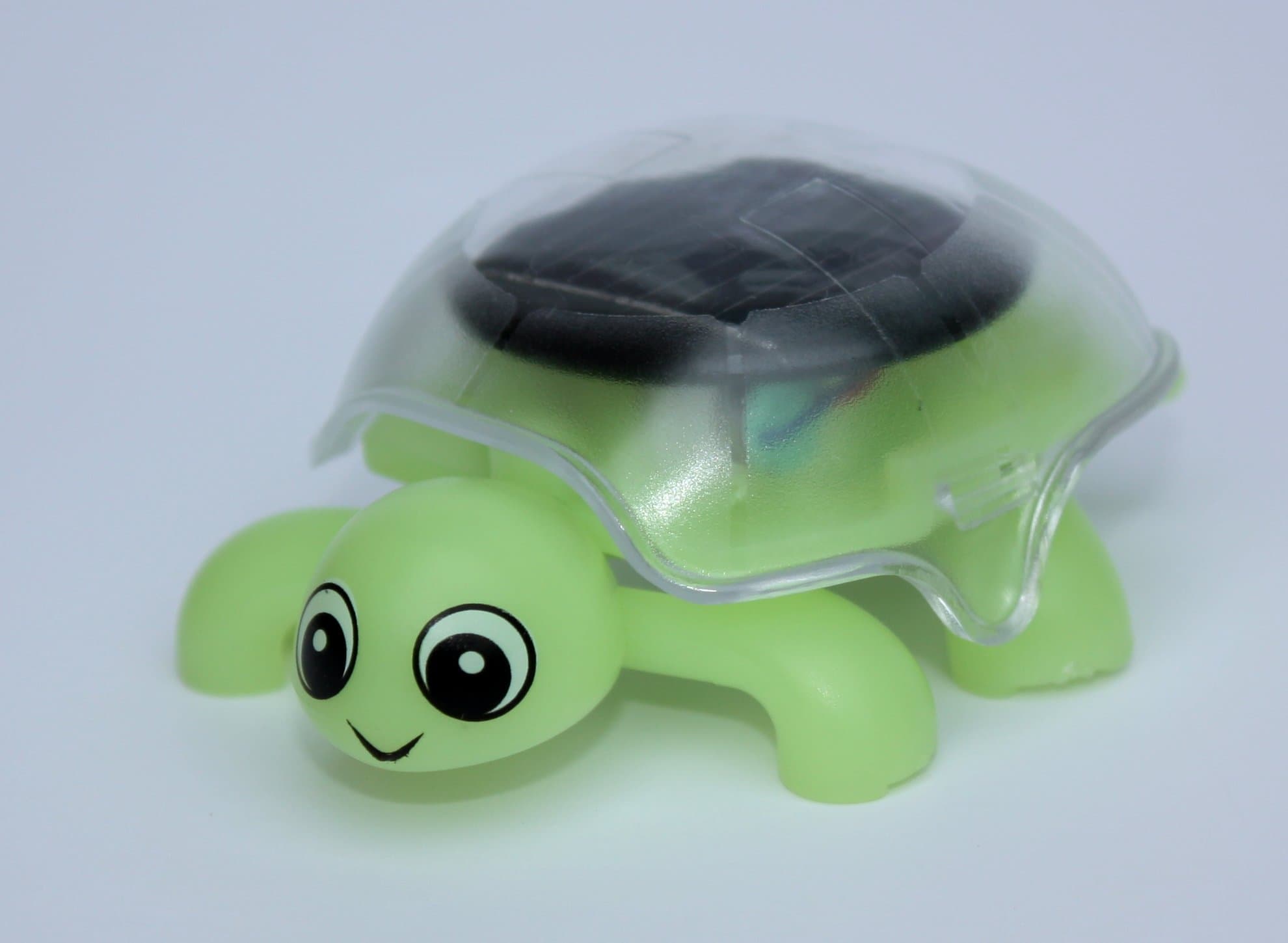 Solar Powered Turtle Lit Green