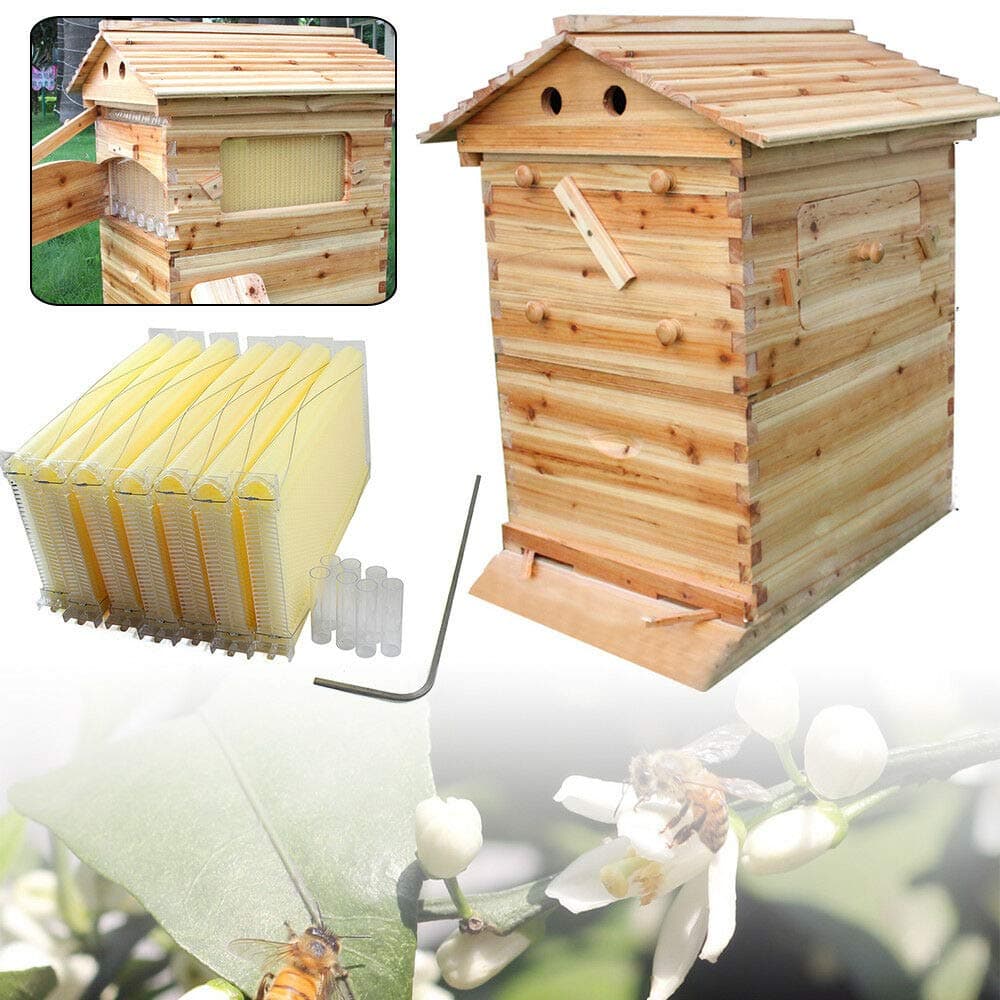 RanBB 7Pcs Auto Honey Bee Hive Frames with Beekeeping Wooden House