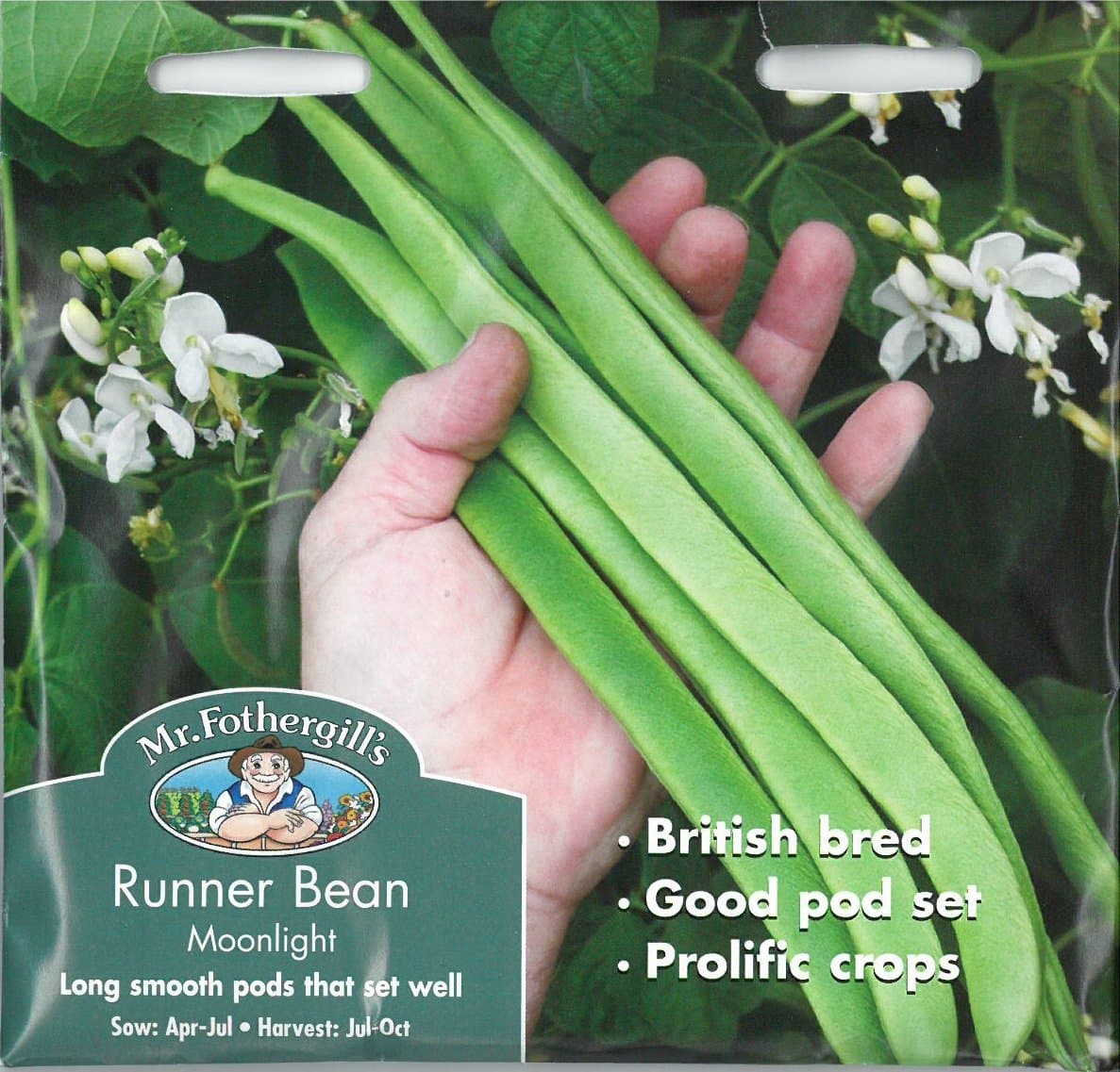 Mr Fothergill's 19262 45 count Runner Bean Moonlight Seed
