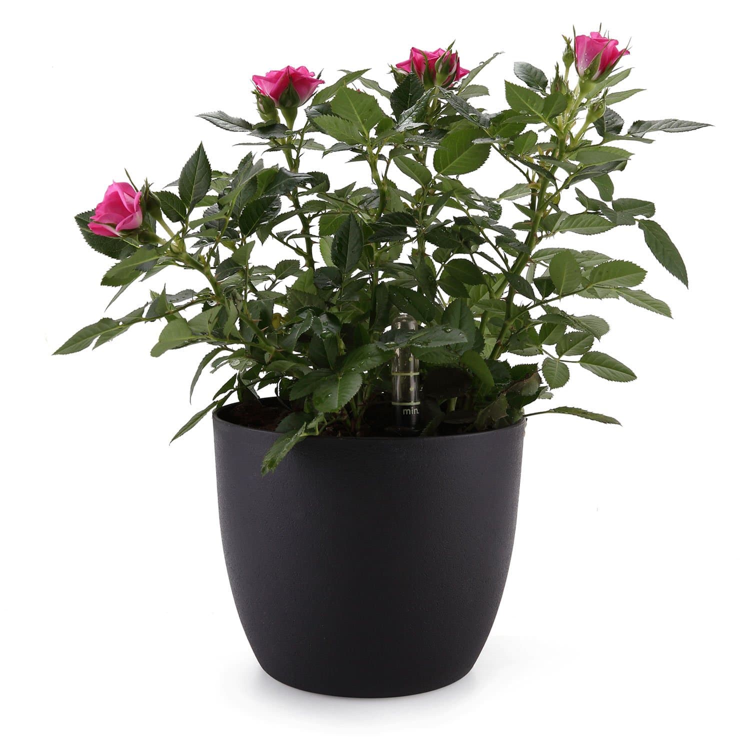 ComSaf 15CM Self Watering Plastic Planter with Water Level Indicator Black, Modern Decorative Planter Pot for All House Plants, Flowers, Herbs, African Violets, Succulents