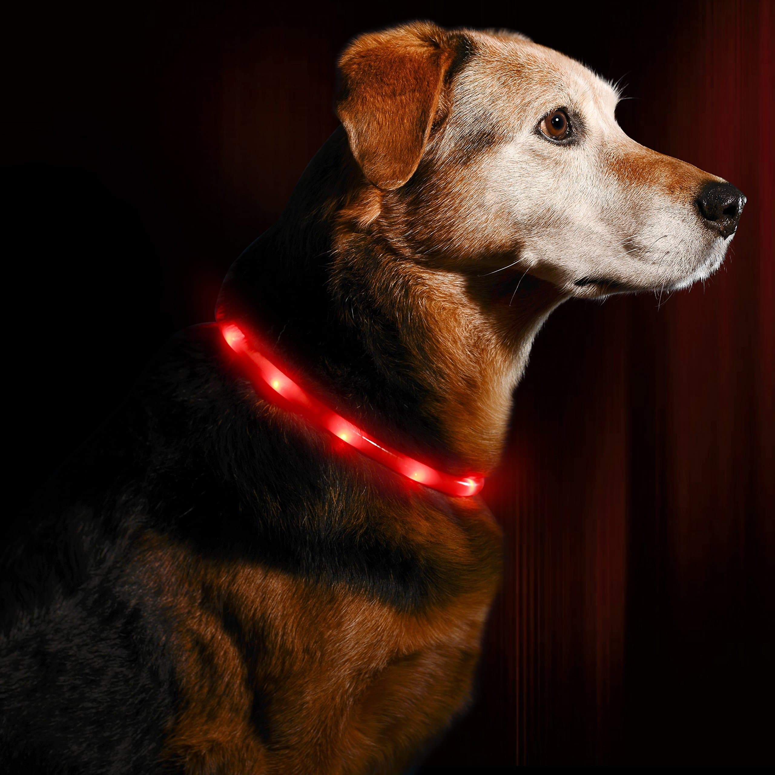 LED Dog Necklace Collar - USB Rechargeable Loop - Available in 6 Colors - Makes Your Dog Visible, Safe & Seen (Red)