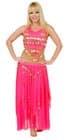 Fuschia Bellydance Set