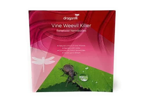 Dragonfli Vine Weevil Killer Nematodes Standard Pack 10sqm