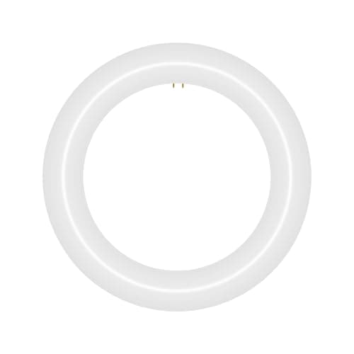 NYLL 8 inch T9 Circline Type A Plug & Play LED Lamp, Daylight (6000K) Direct Replacement for 22W FC8T9/D (Without Rewiring or Modification) Ballast Required!