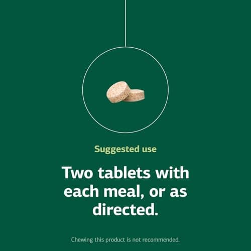 Zypan 90 Tabs by Standard Process by Standard Process