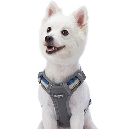 Blueberry Pet 9 Colors Soft & Comfy 3M Reflective Multi-Colored Stripe Mesh Padded No Pull Dog Harness Vest with Back Leash Clips, Medium, Dark Green & Pink