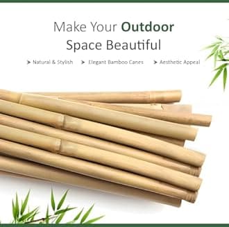 Blado Thick Bamboo Canes - Heavy Duty, Natural Garden Stakes, Strong Bamboo Sticks for Plant Support - Ideal for Gardens, Balconies, Patios, and Outdoor Spaces 2FT,3FT,4FT,5FT,6FT (30, 2ft, 6-8mm)
