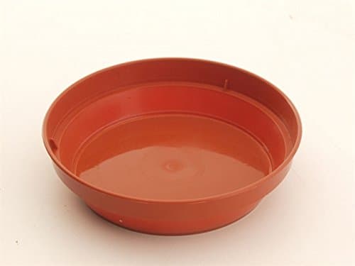 Sankey Grow Saucer 11Cm 4 in