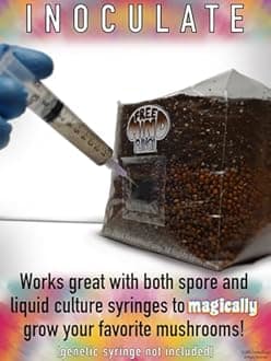 Mushroom Grow Bag for Manure Loving Mushrooms. 'All in one' Style Mushroom Grow kit. Over 3lbs of Substrate. Grow Over 2lbs Fresh, and 2-3oz Dry Like Magic.