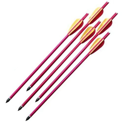 5 Pack Of 150 Lb. Crossbow Arrows