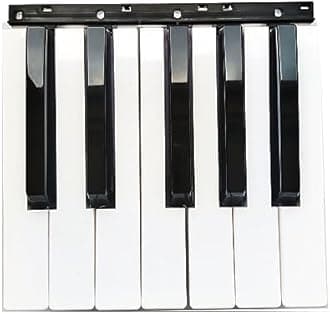 Replacement Black White Keys Keyboard Part For Korg PA500 PA600 PA700 PA300 (12 keys black white)