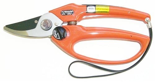 Saboten Professional By-Pass Pruner