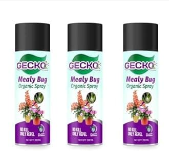 Gecko Mealy Bug Repellent Spray 200 ML | Removes mealy bugs and fungus from plants | 100% Herbal Actives & No Chemicals | Gentle on plants and promotes plant growth |pack of 3 - FORMULATION 30 X
