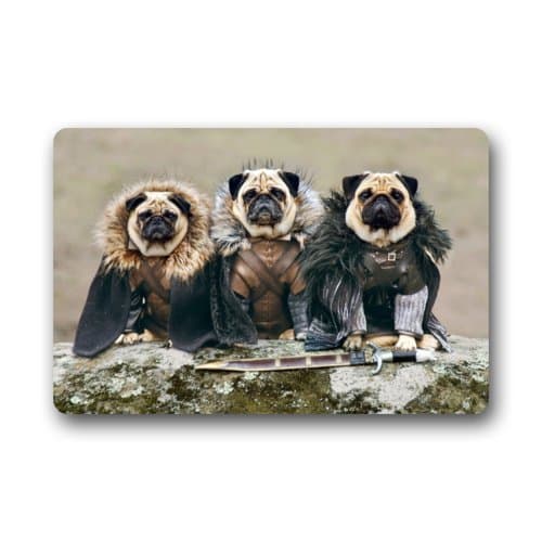 Quick Drying Door Mat - Personalize with Pug Dog Doormat-23.6"(L)x15.7"(W) 3/16"