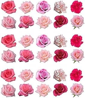 Pack of 30 Mixed Pink Roses Edible Cake Decoration Toppers - Printed on Wafer Paper or Icing (Icing Paper)