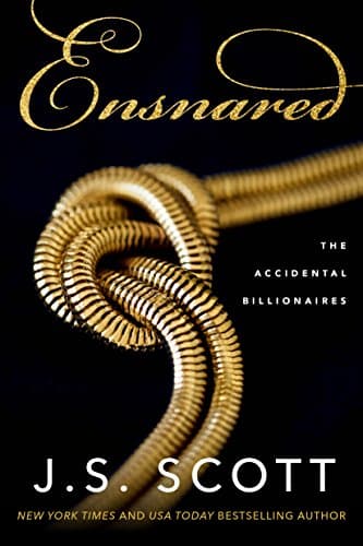 Ensnared: The Accidental Billionaires, Book 1