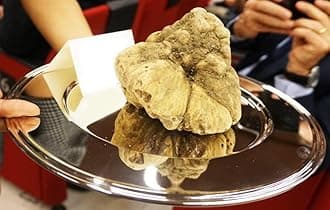 White Truffle Mushrooms Spores (Tuber magnatum) Non GMO Heirloom 100 Seeds