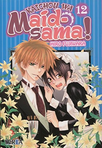 Kaichou Wa Maid-Sama!
