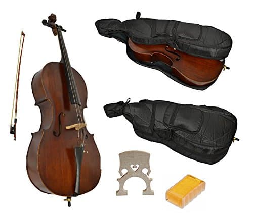 1/8 Size Student Cello with Soft case by Sotendo