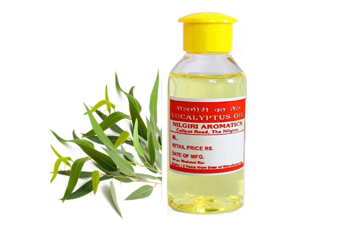 Eucalyptus oil - 100 ML