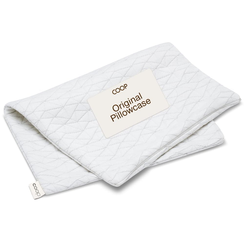Single Removable Pillowcase - Bamboo Derived Viscose And Polyester Blend With Zipper Closure Queen White