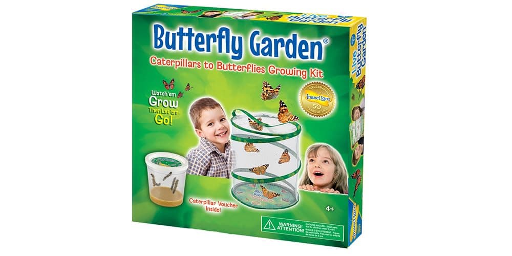 Insect Lore Butterfly Garden with Redemption Caterpillar Voucher