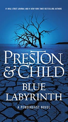 Blue Labyrinth (Pendergast Series Book 14)