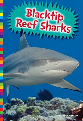 Blacktip Reef Sharks Paperback – February 7, 2017