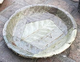 Natural Patravali Pattal Vistaraku Vistar Khali Sal Leaf Plates 50Pcs from Orissa for Prasadam