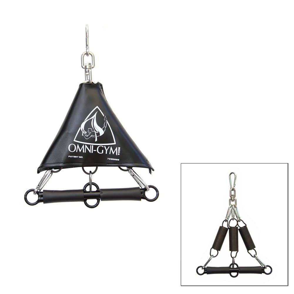 Omni Stretchy Swing Plus Spring Trapeze- Inversion Therapy, Yoga Practice, Aerial Fitness, Back Pain, Bounce and 360 Swivel (Black)