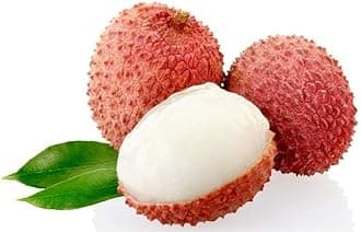 all time Litchi China-3 Live Plant Hybrid/Lychee TREE PW_C5