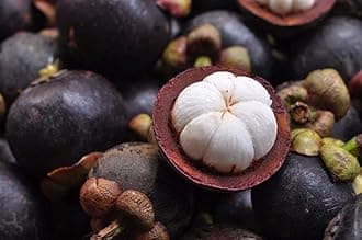 Creative Farmer Live Fruit Plant Mangosteen Queen Of Fruits Mangosteen Healthy Plants From Kerala For Kitchen Garden Plant(1 Healthy Live Plant) B