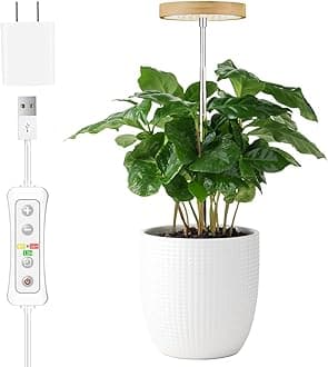 Plant Grow Light for Indoor Plant,Bamboo Mini LED Grow Light Garden,Height Adjustable,Automatic Timer with 8/12/16 Hours