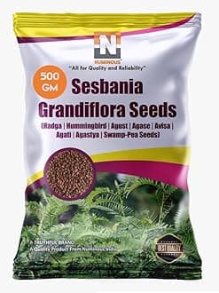Numinous Sesbania Grandiflora/Hummingbird/Hadga/Agust/Agase/Avisa/Agati/Agastya/Swamp- Pea Tree Seeds - 500 GMS